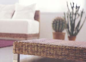 ��������� �Net�, ������ Paola Navone